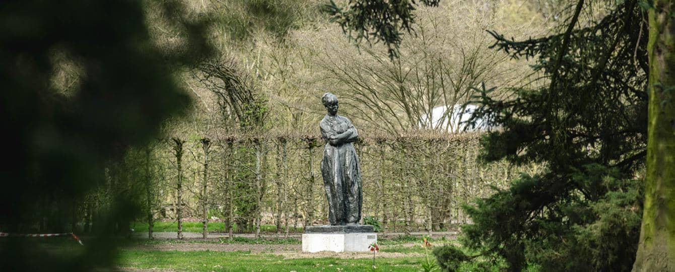 Adviseur Middelheimmuseum, ZNA Universitaire Kinder- en Jeugdpsychiatrie Antwerpen, UAntwerpen Project Bypass